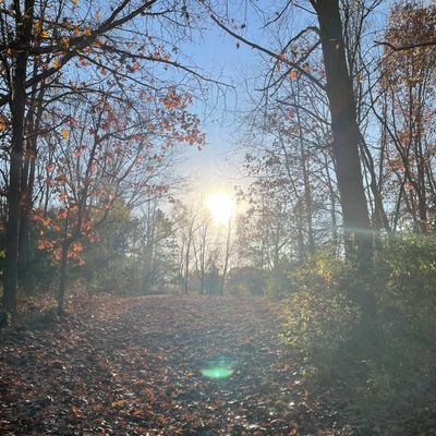 Late fall evening view from tee