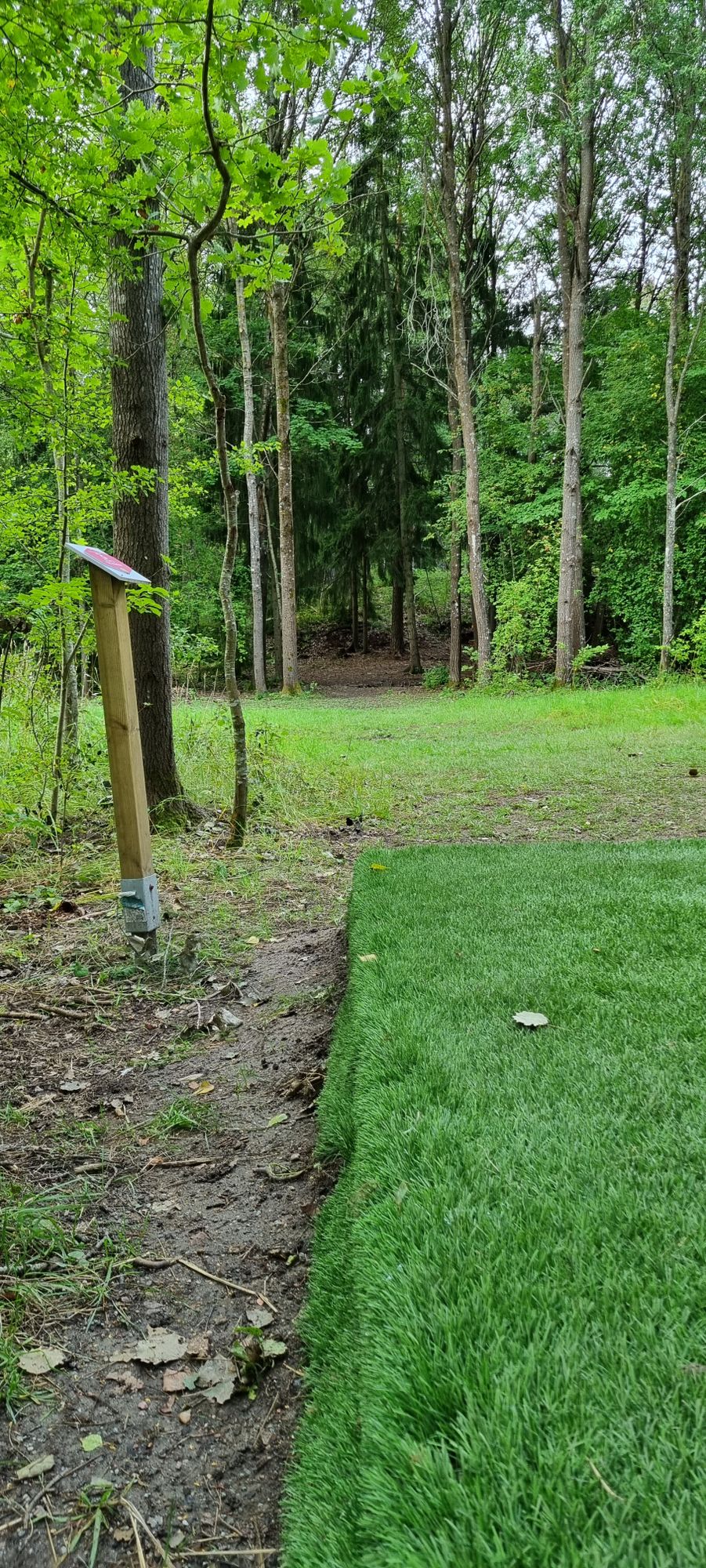 Hole 3