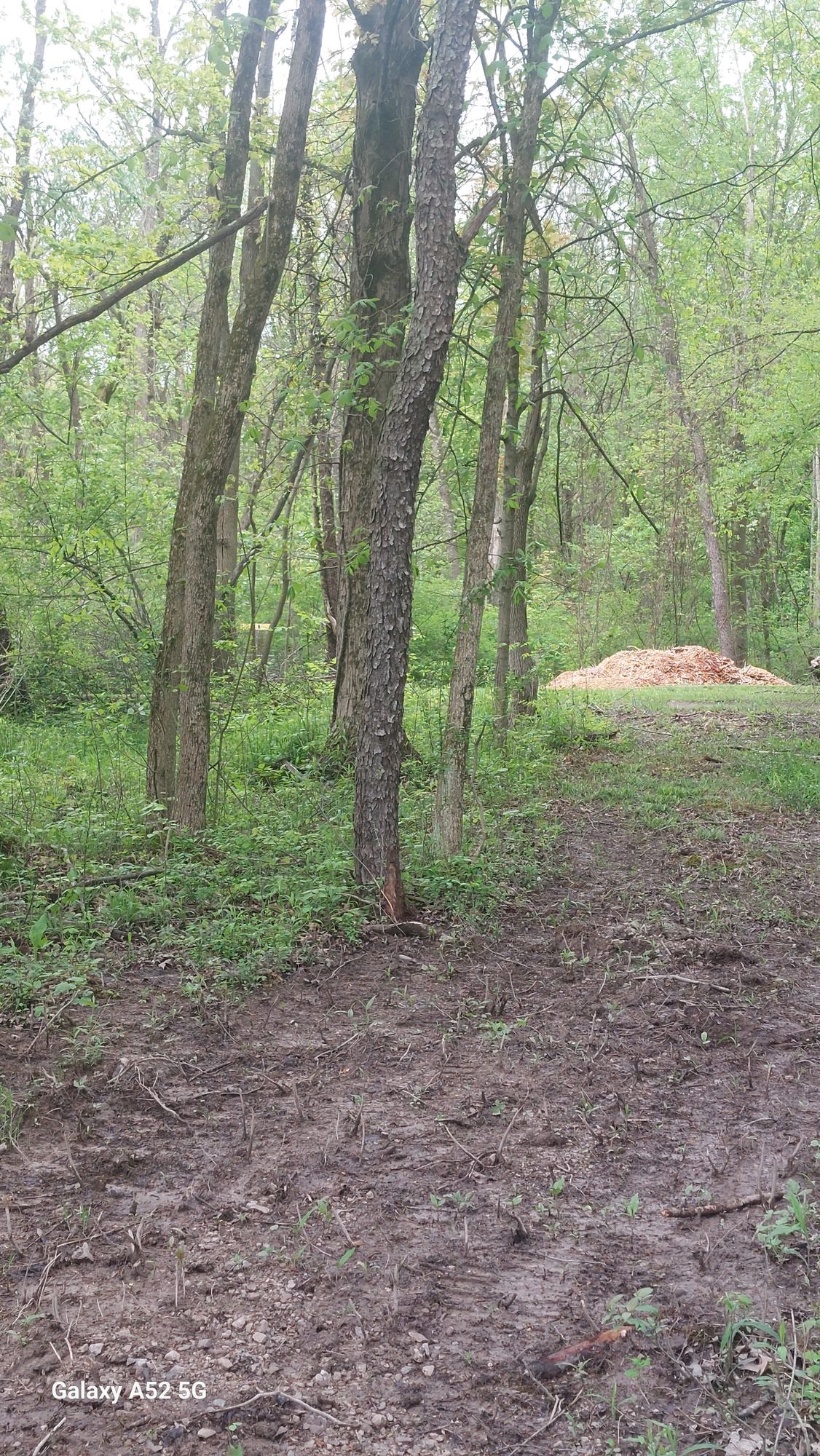 Hole 9. Dogleg to the left