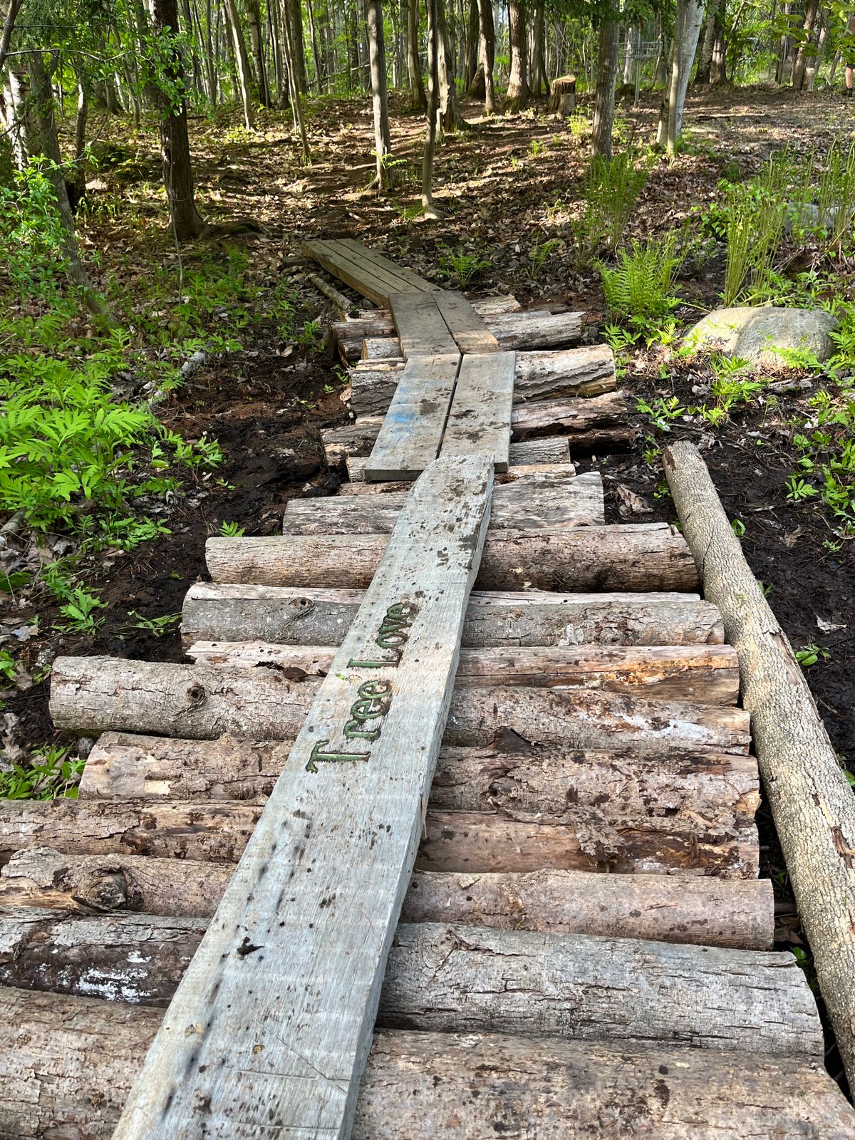 Improved bridge over wet area
