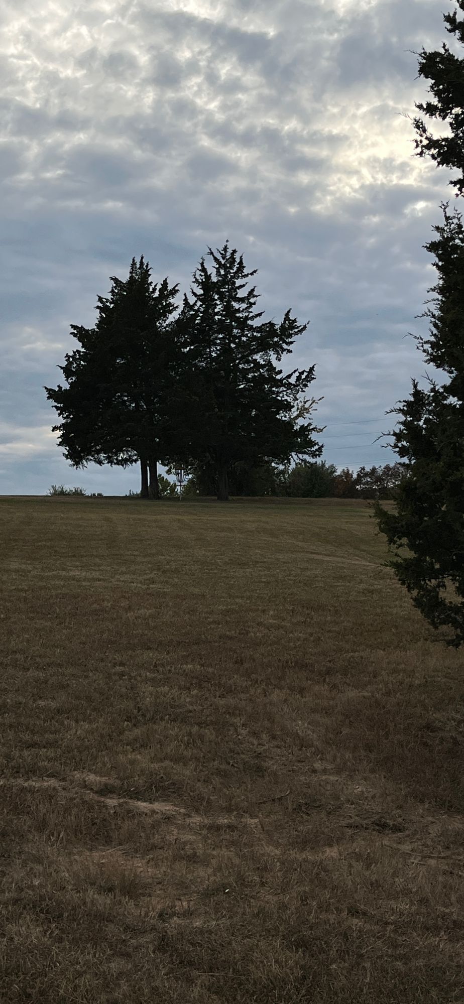 Hole 8 from fairway