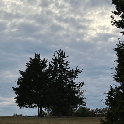 Hole 8 from fairway
