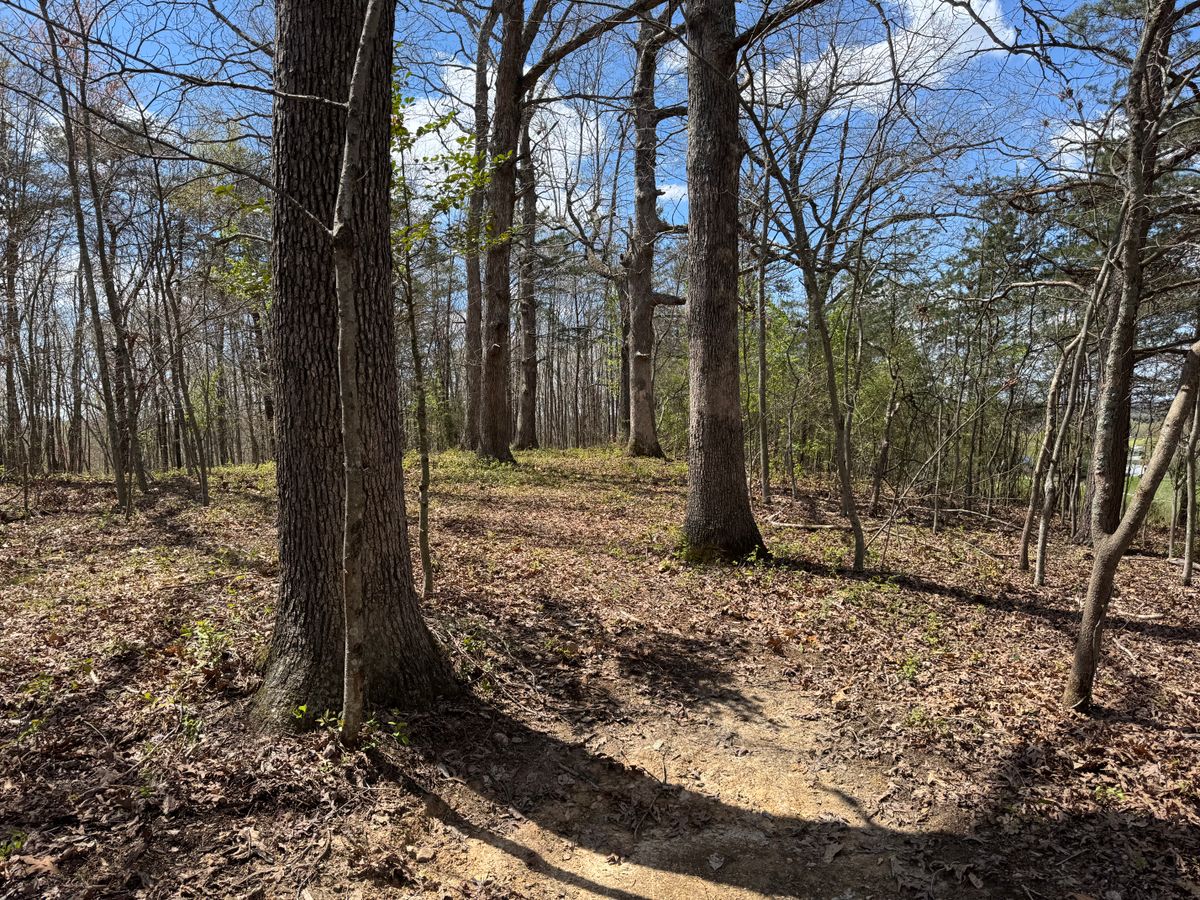 Hole 13 tee