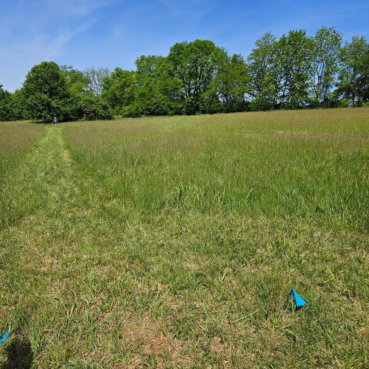 Hole 6