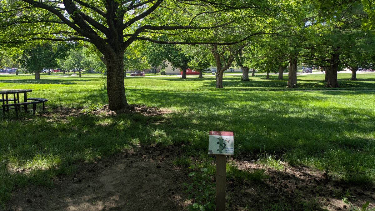 Tee #3