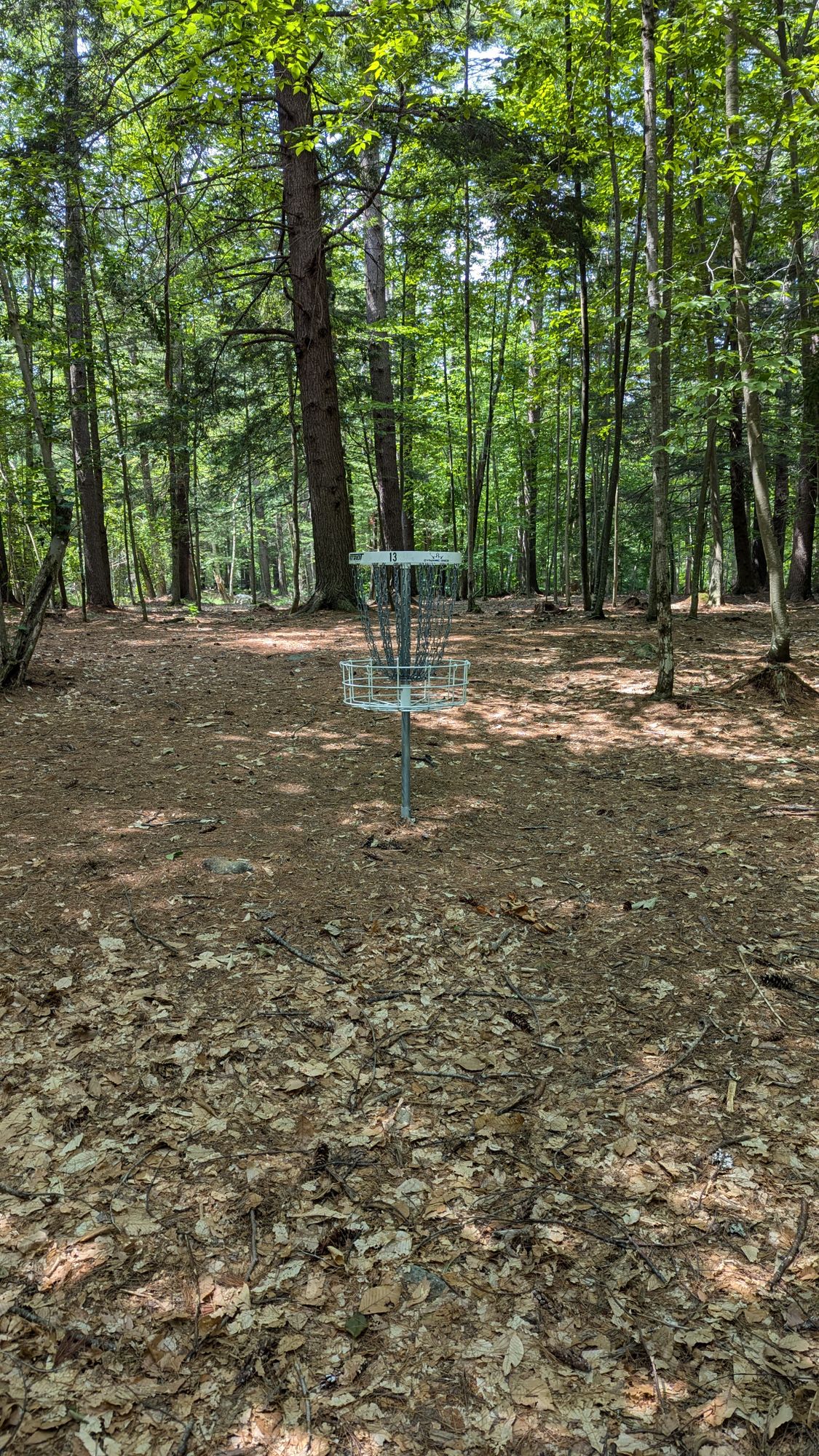 Hole 13's basket looking towards tee