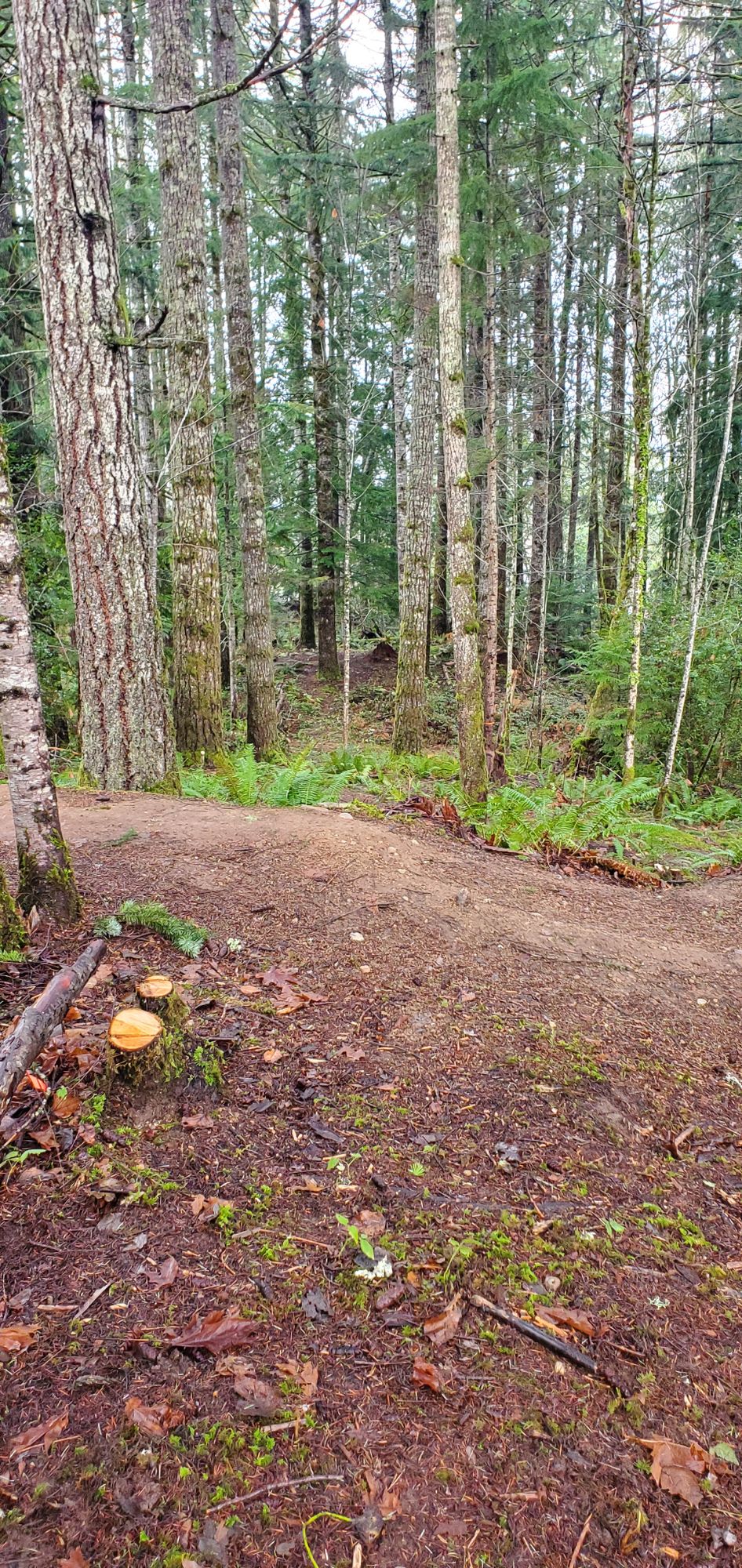 Hole 8 tee