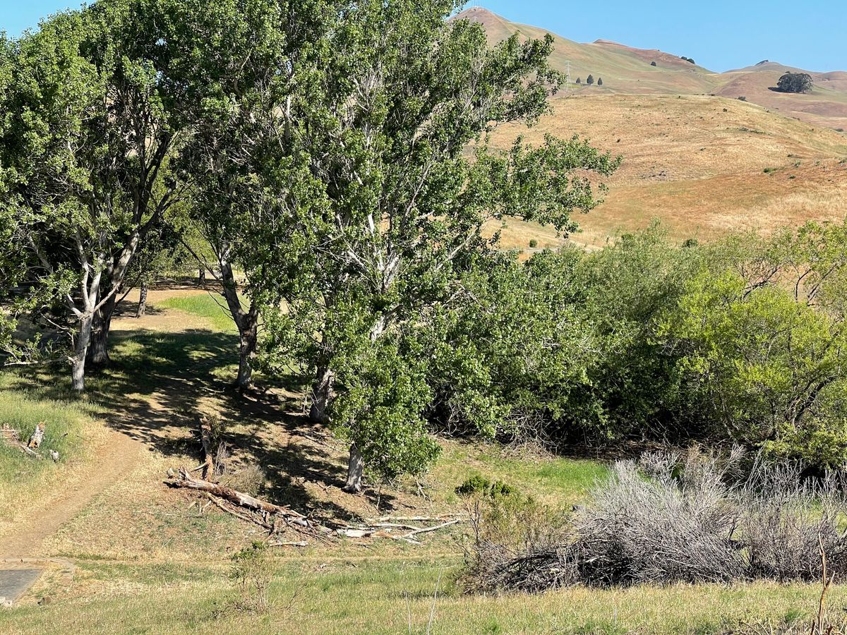 Hole 2 long tee, short tee is bottom left of picture