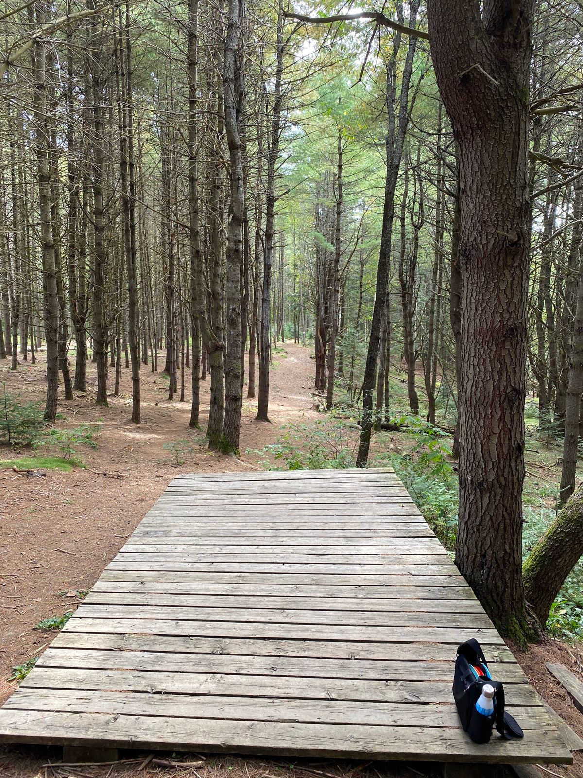 Hole 13