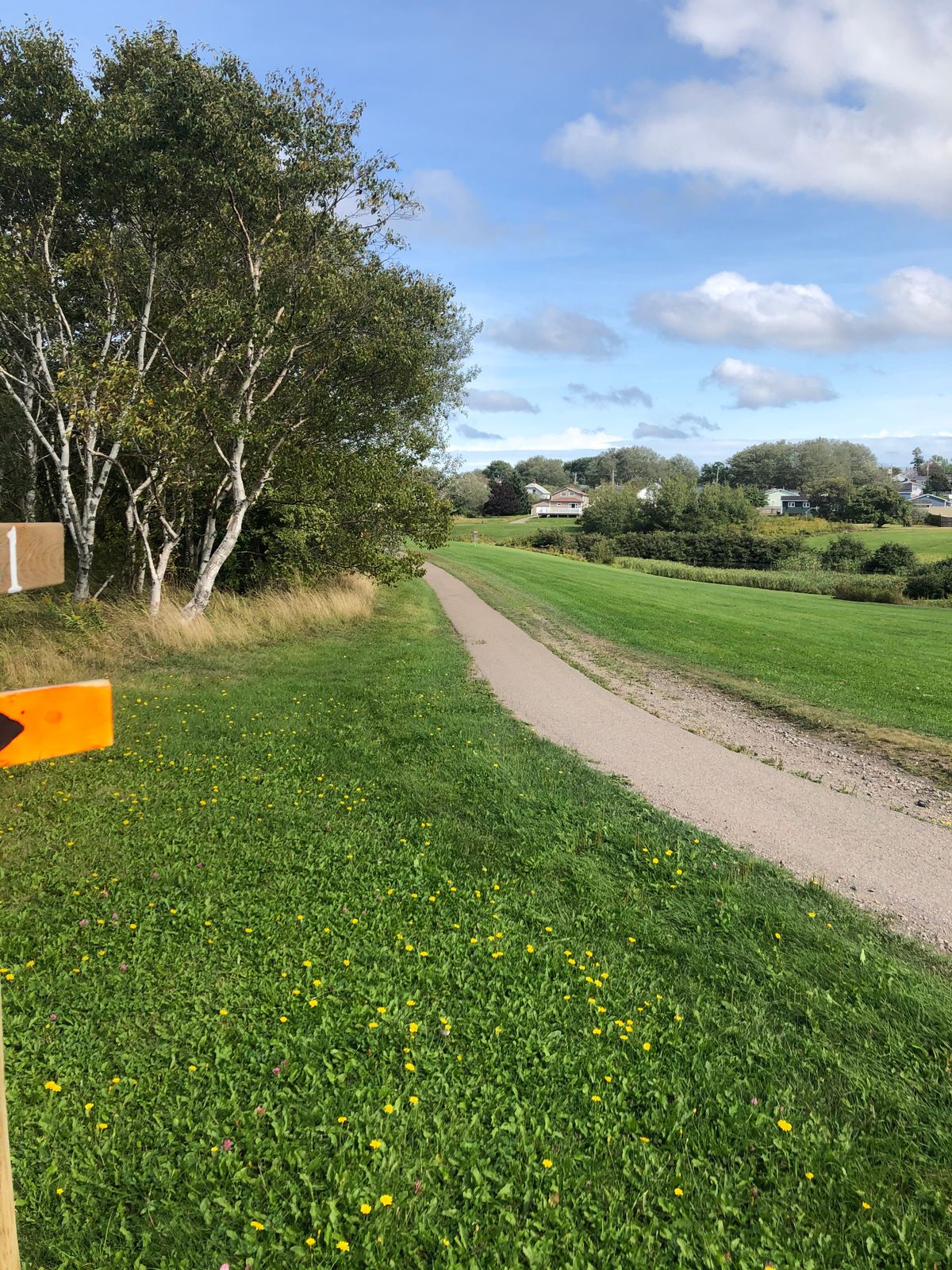 Hole 1 tee