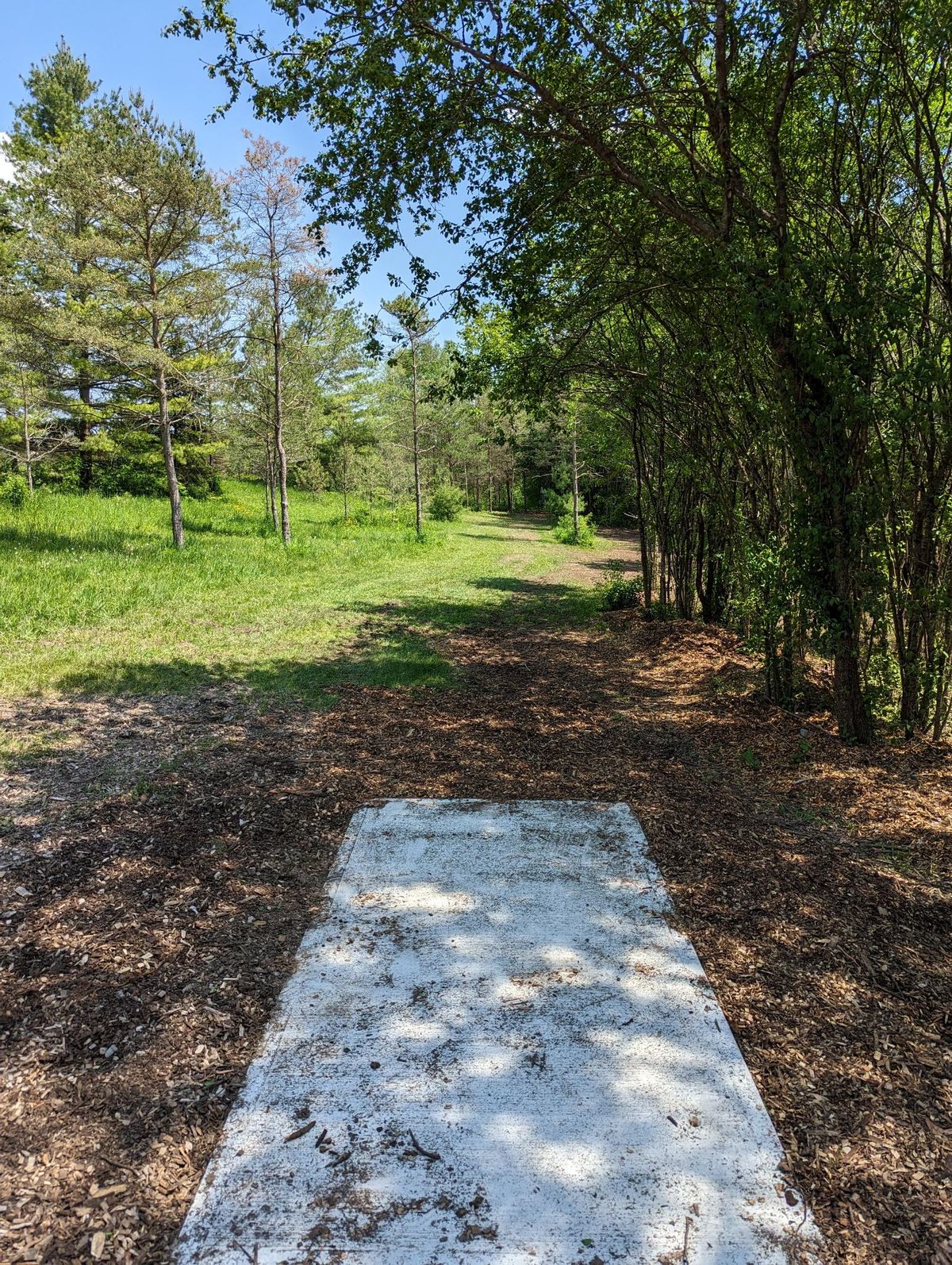Hole 5 shorts