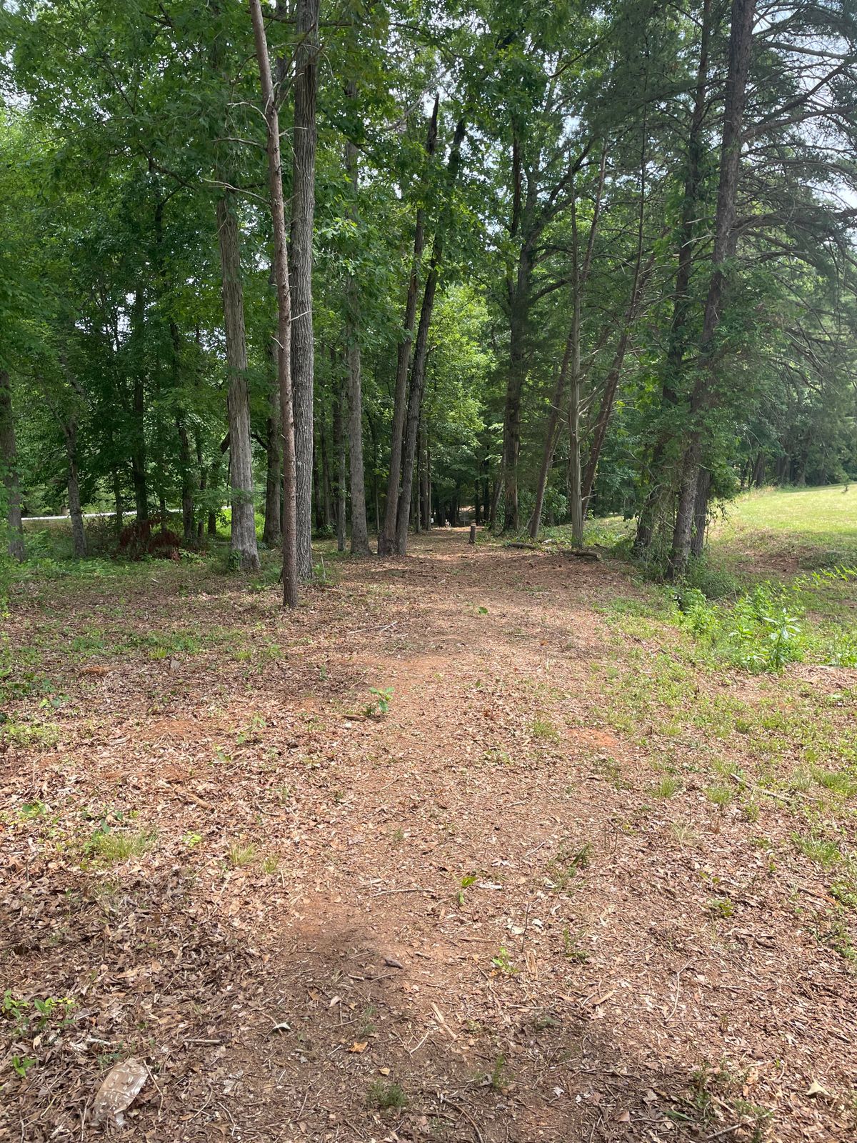 Hole 11