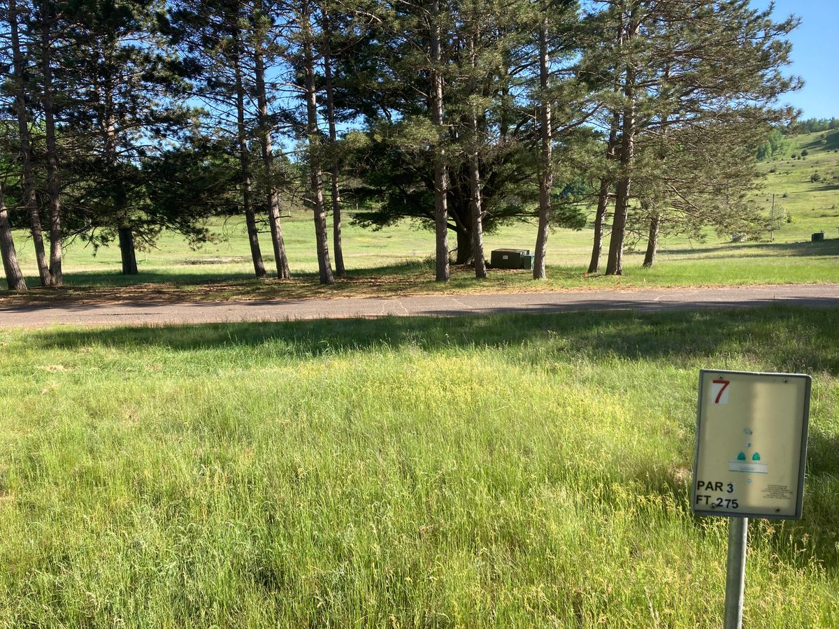 Hole 7 Tee