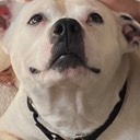 User avatar image