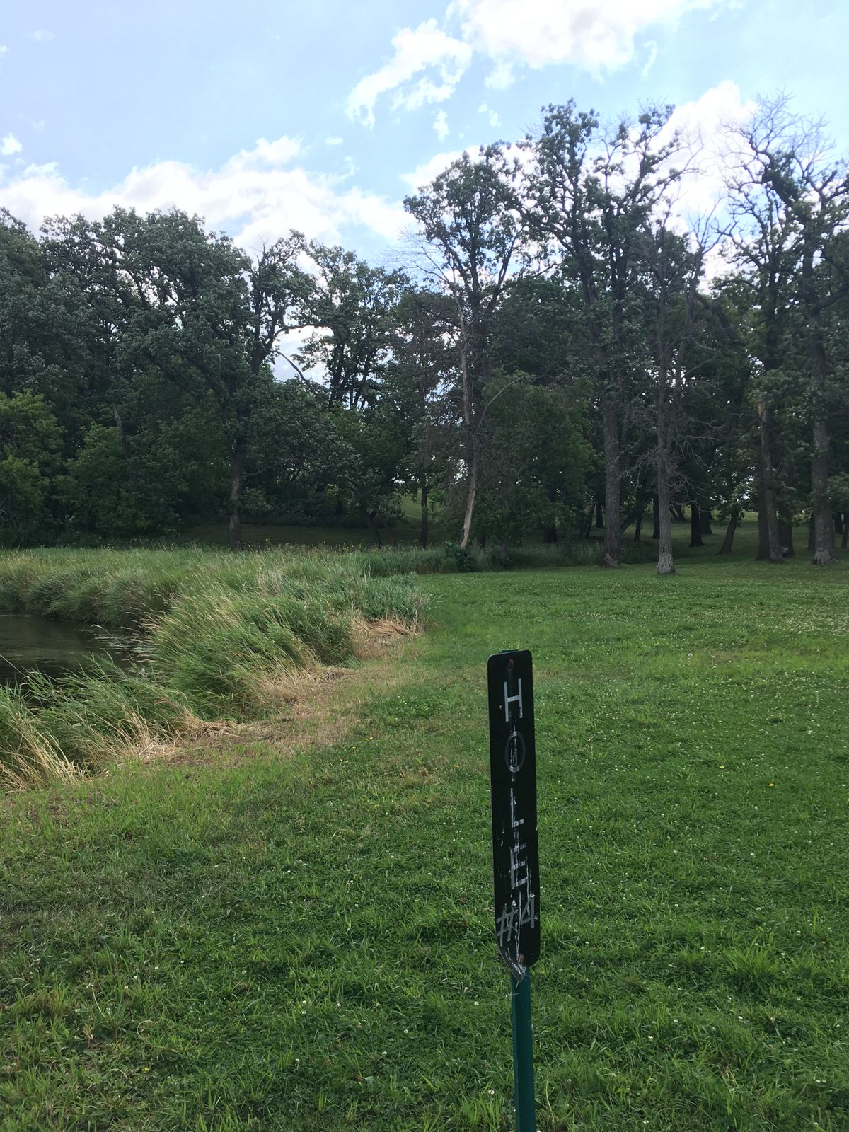 Hole 4 in the tree line
