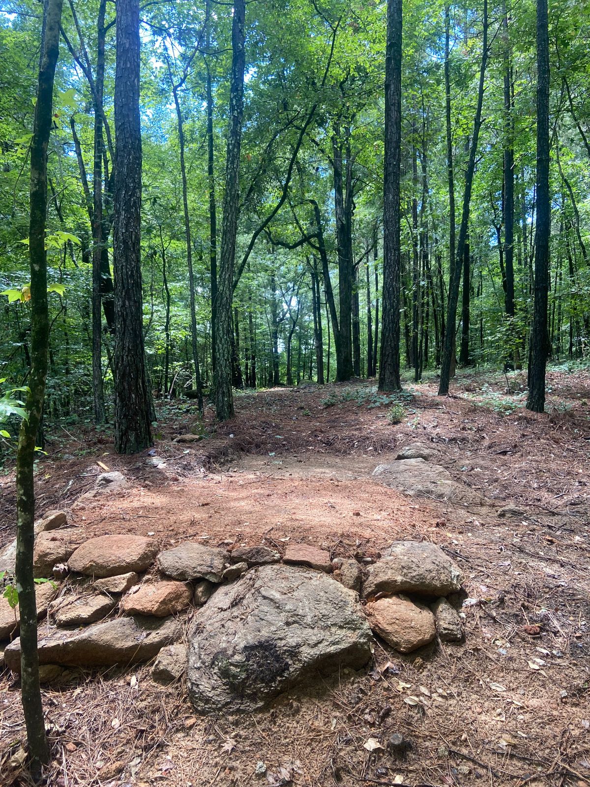 Long Tee of Hole 10