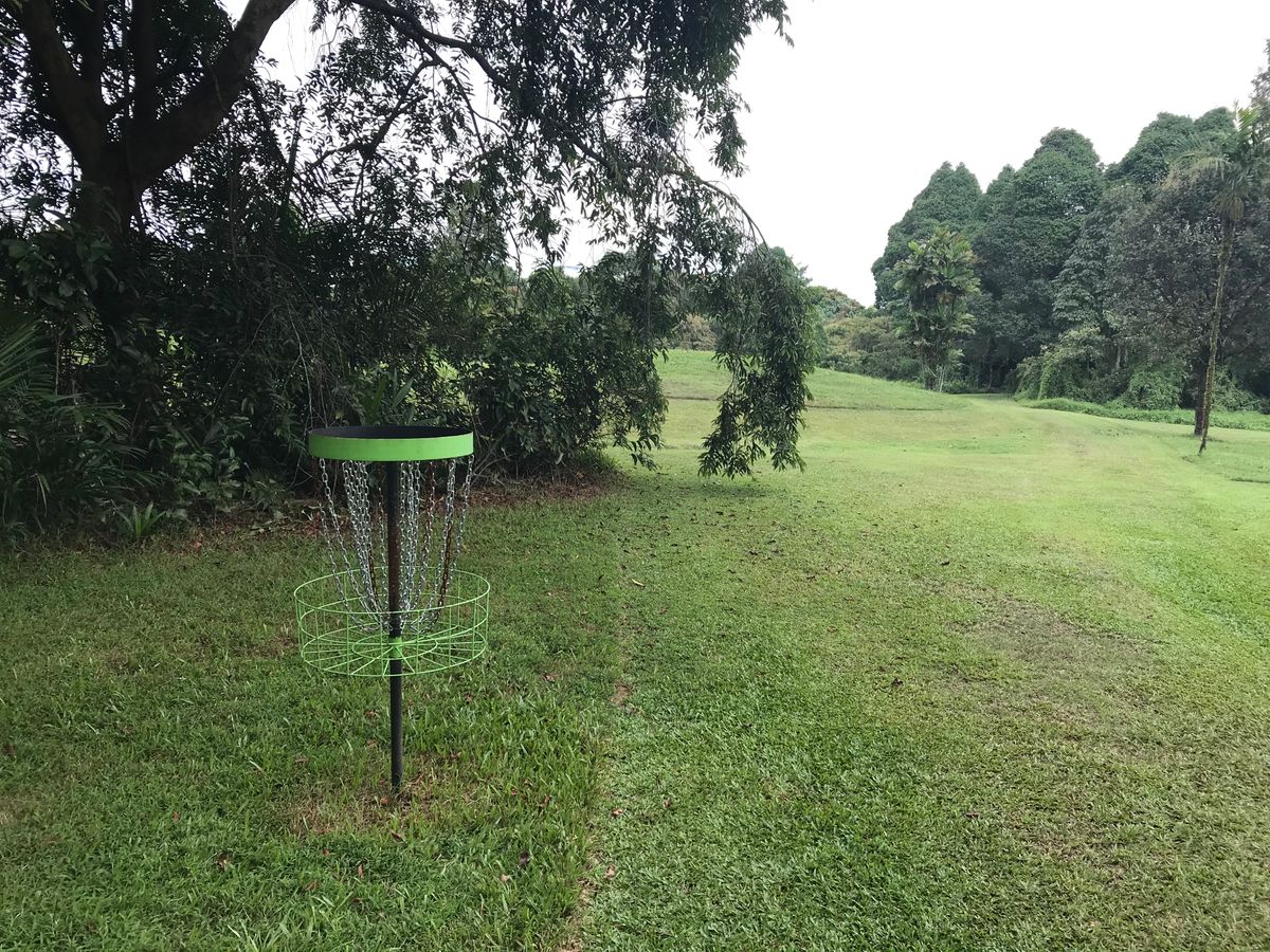 Hole 9 basket.