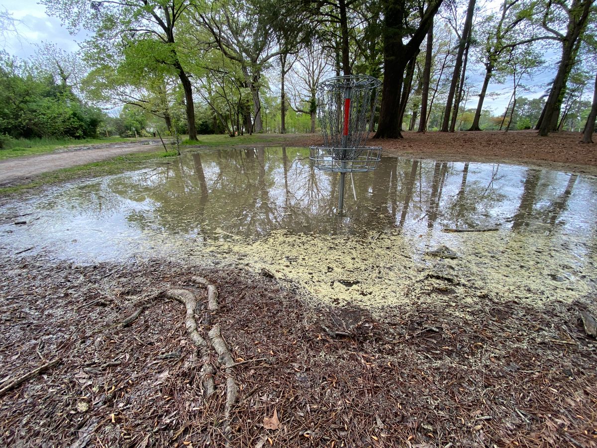Added water hazard on hole 7 after a couple days of rain