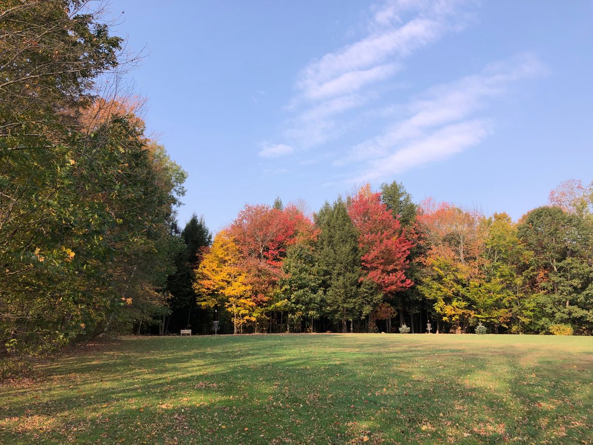 Hole 4 basket from the tee