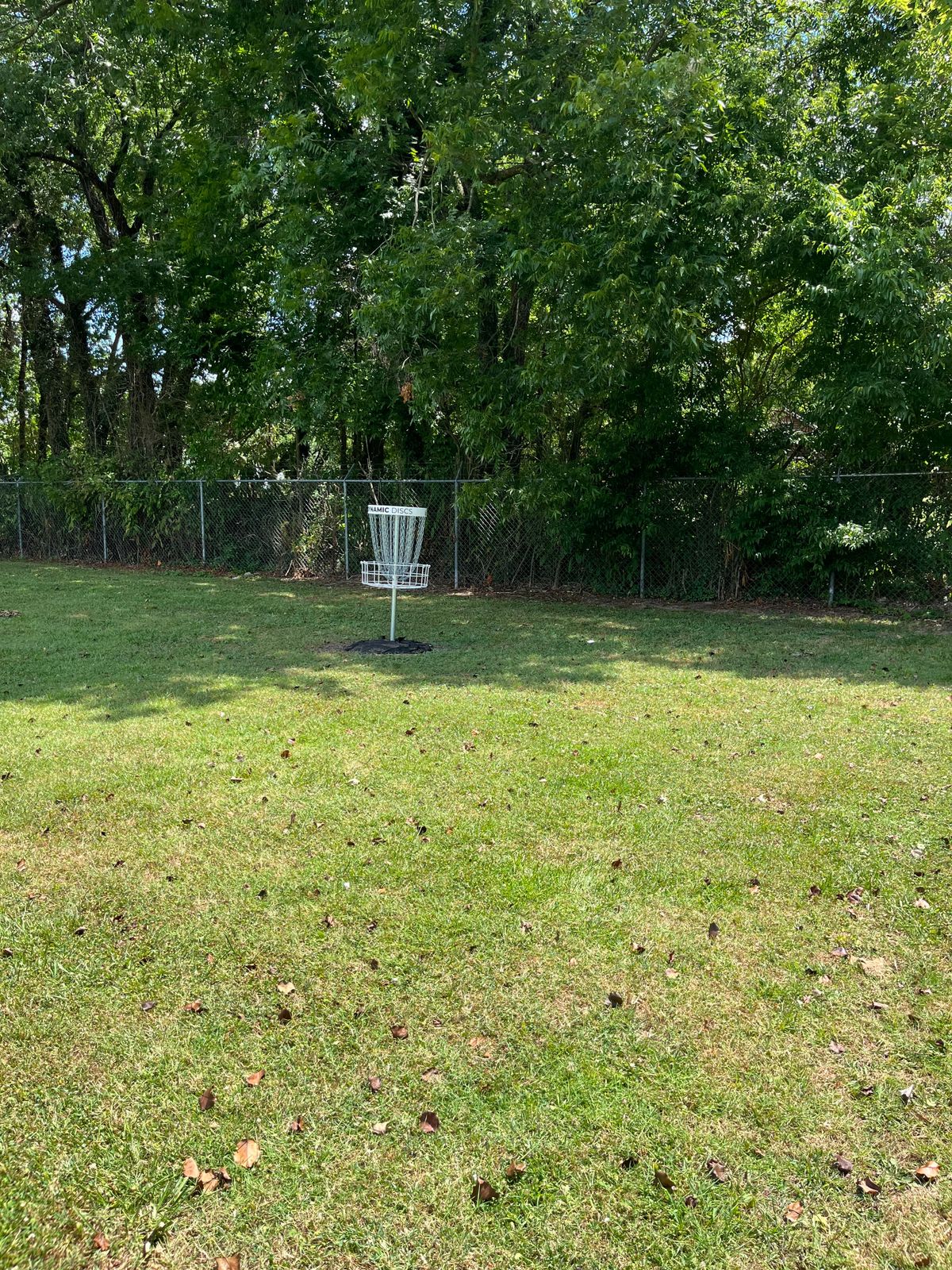 Hole four’s basket