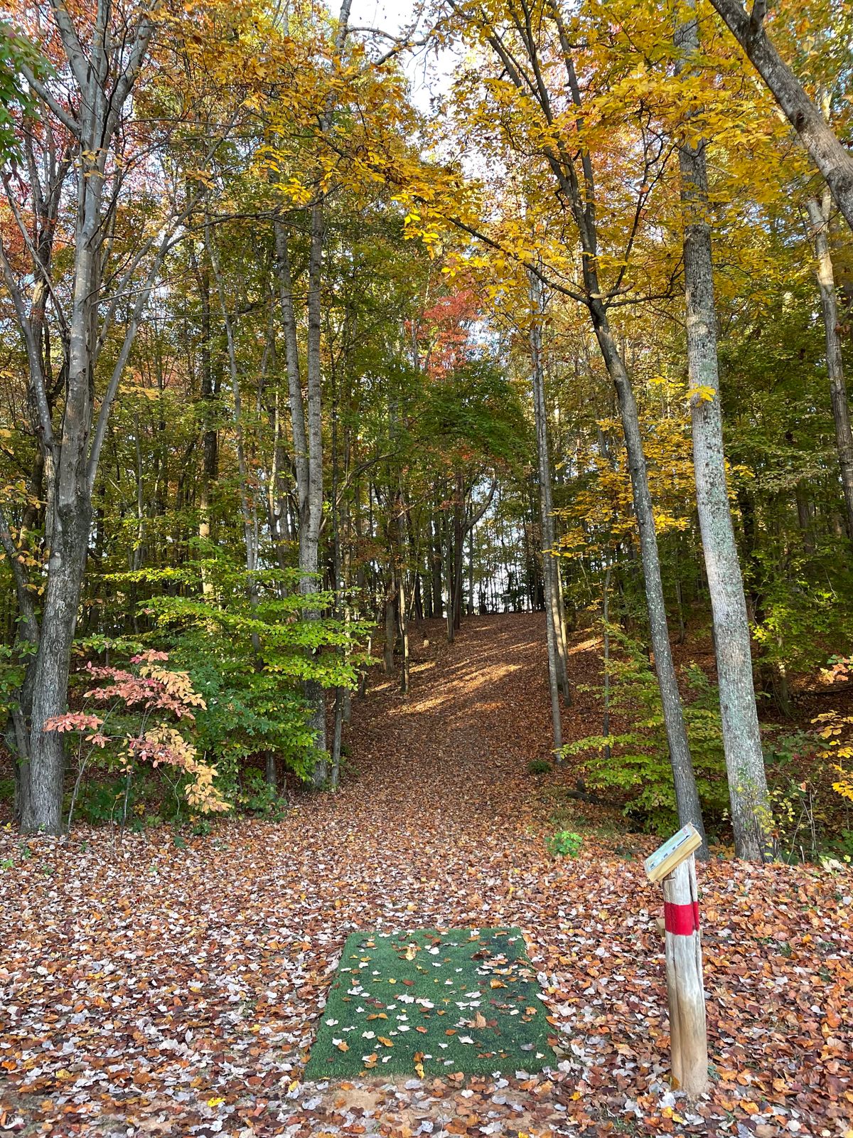Hole 1 Red