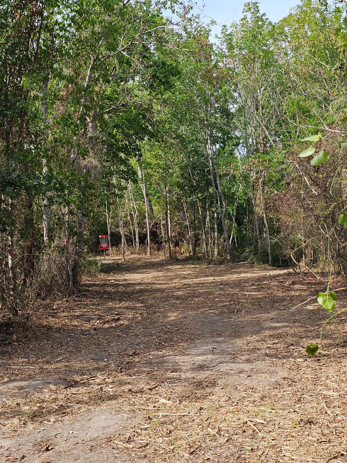 Hole 14 Approach