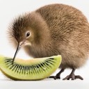 lekiwi