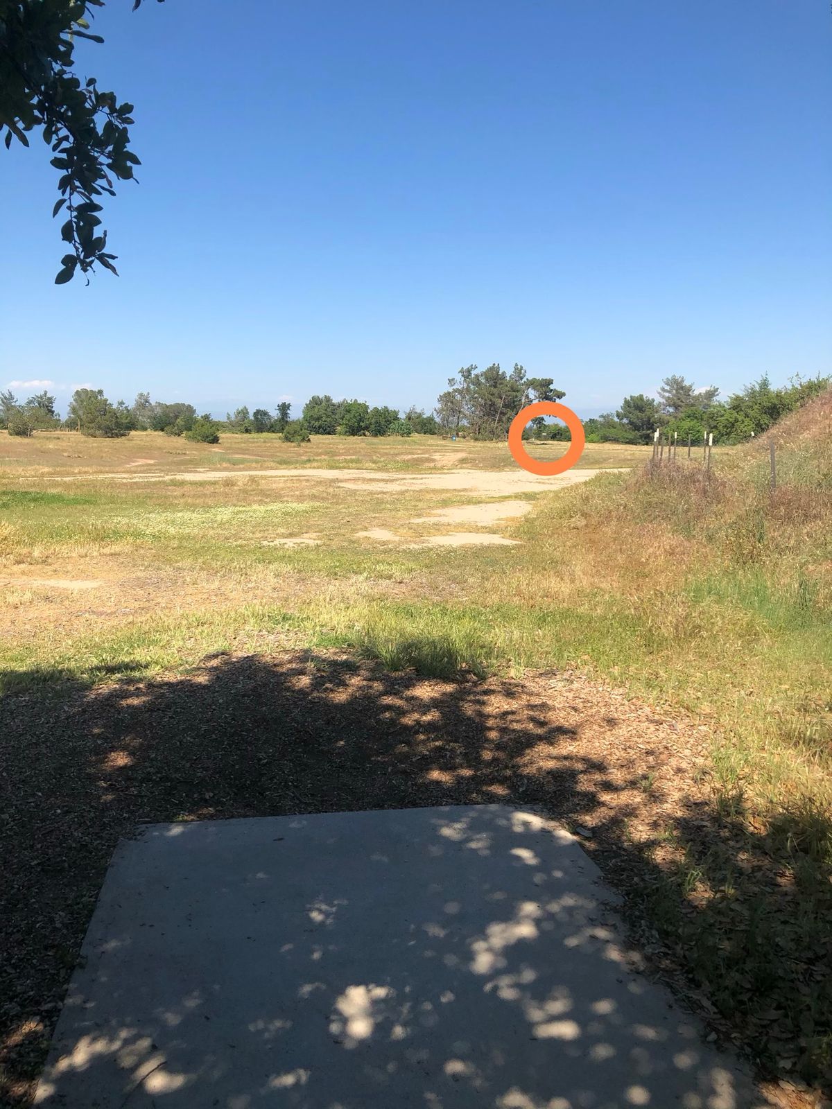 Hole 15 tee to basket