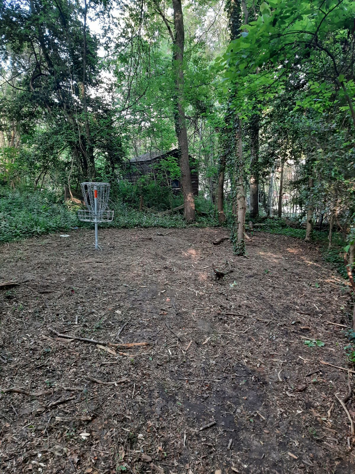 Hole 15 Green A Pin