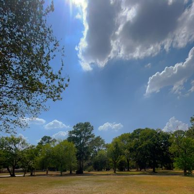 Hole 2 Short Tee