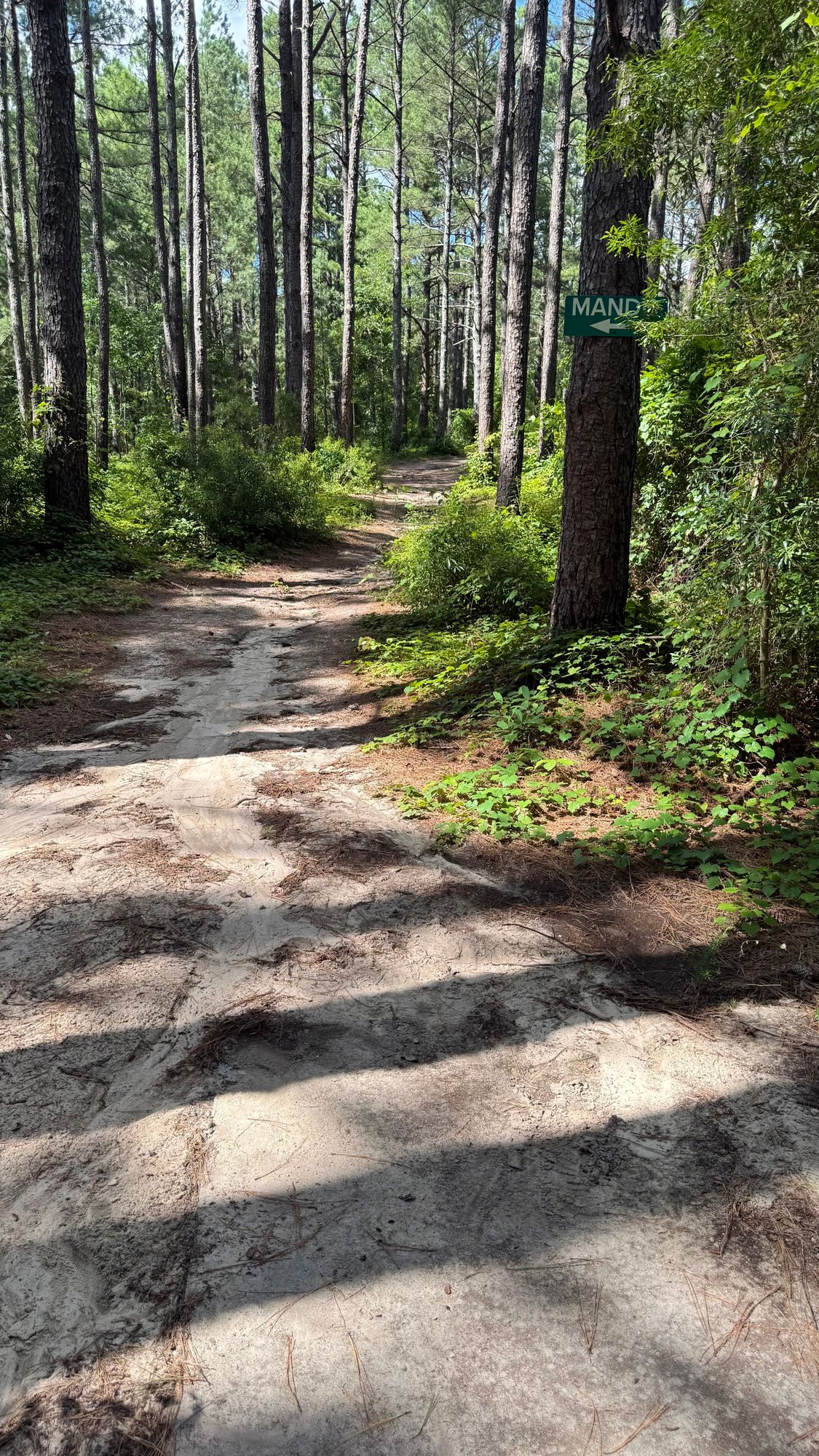 Hole 18 Tee Pad