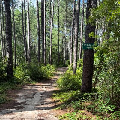 Hole 18 Tee Pad