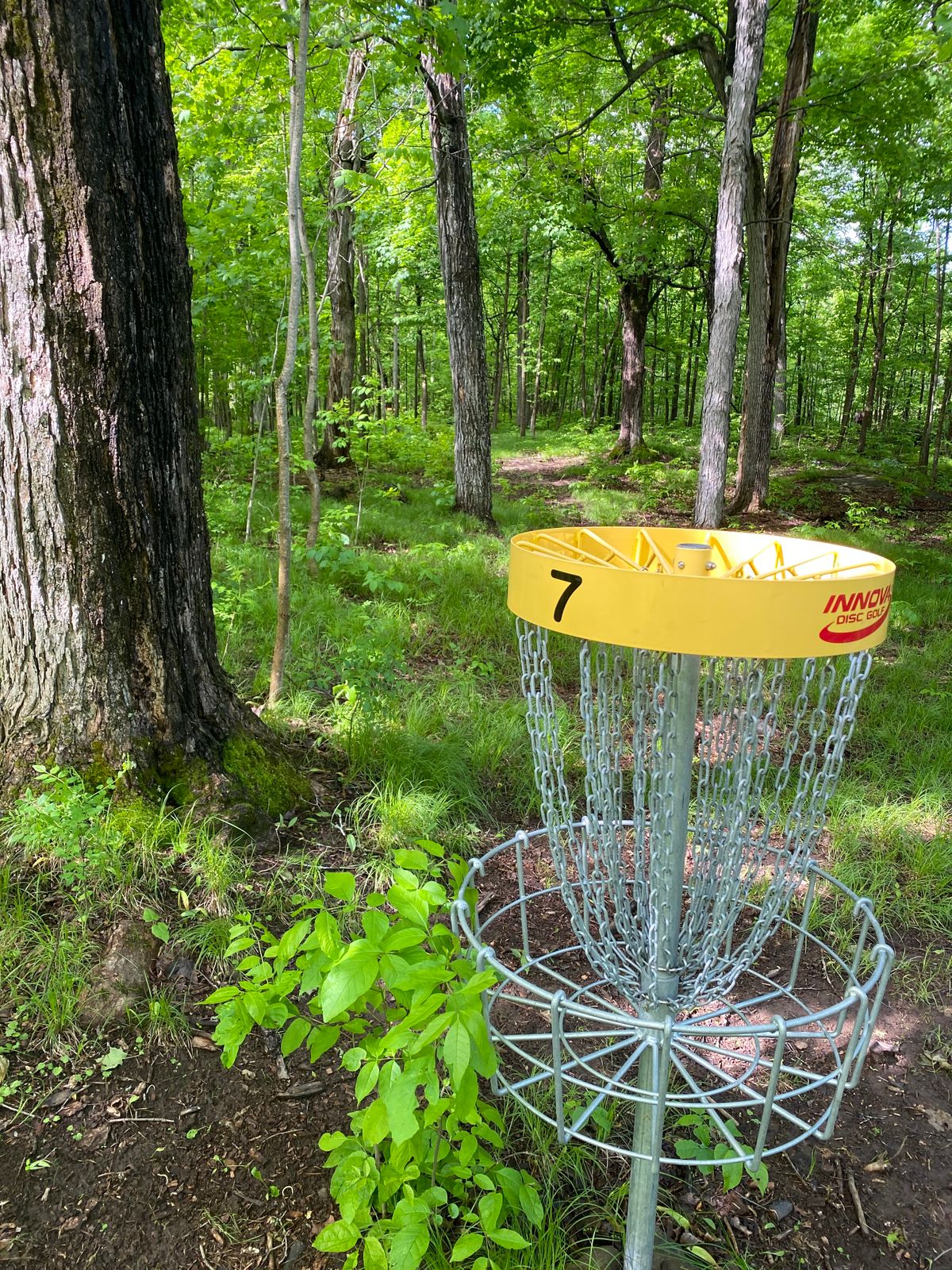 Fairway leading up to 7