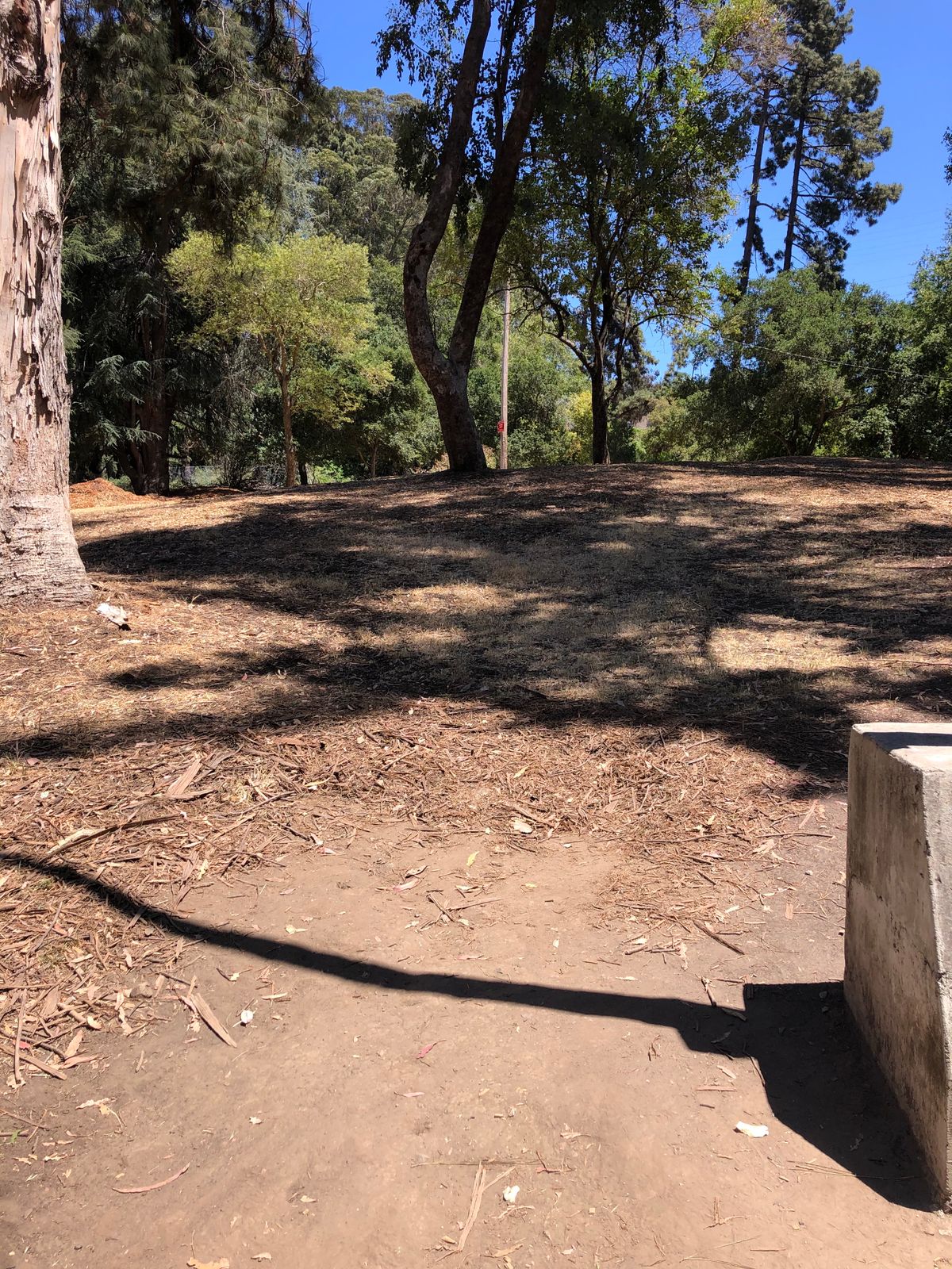 Tee Box at #3