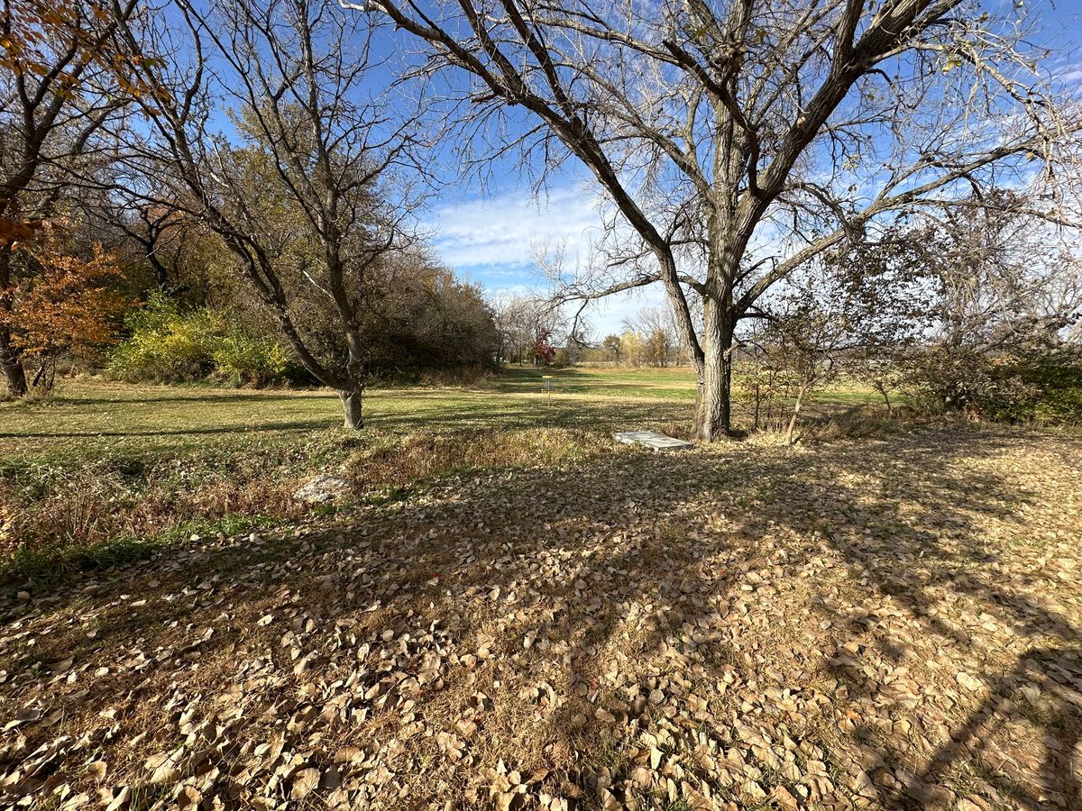 Hole 19 pin and green