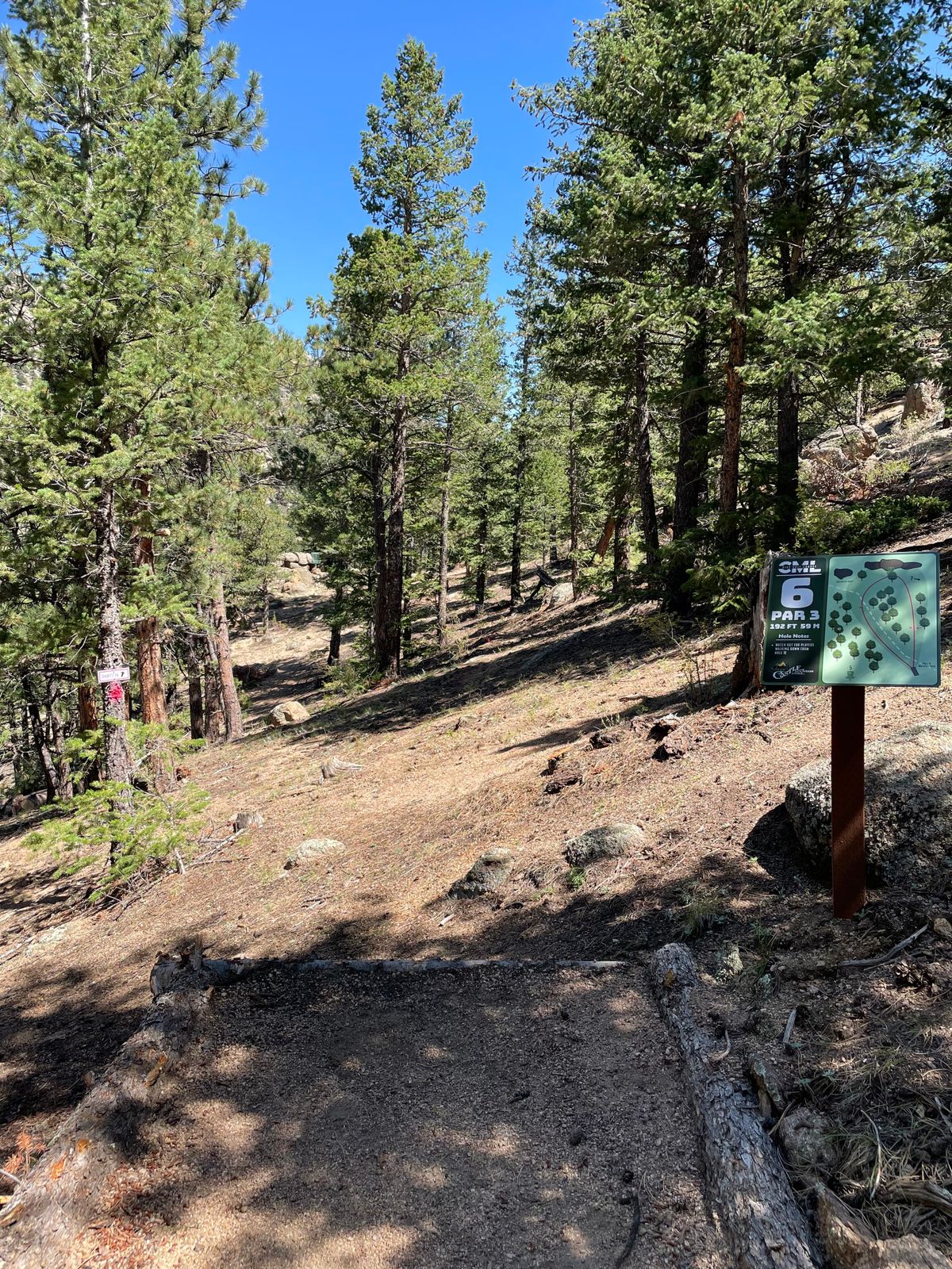 Hole 6 tee