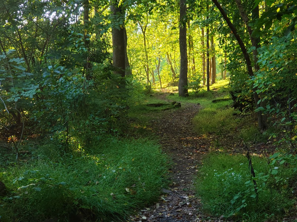 Hole 26
