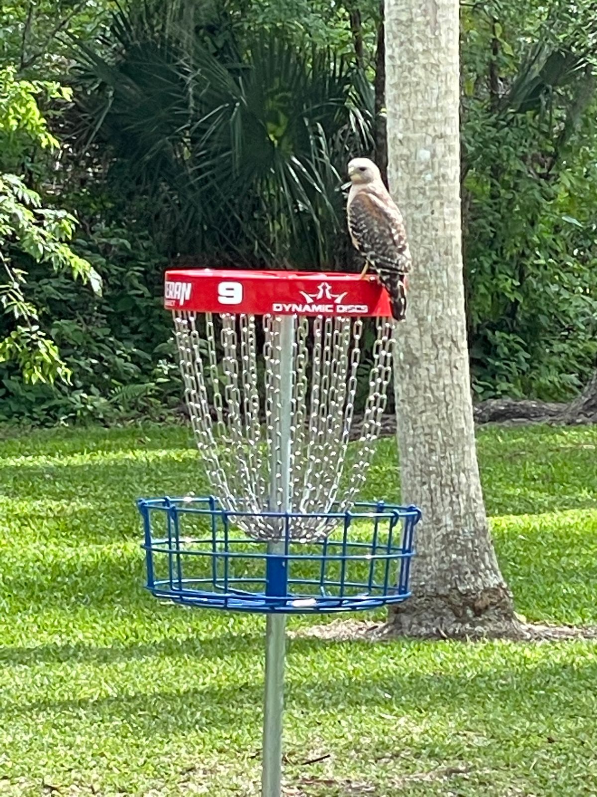 Watch out for the locals.