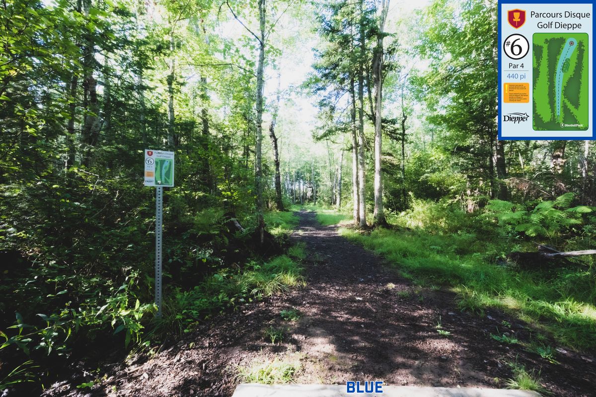 Hole 6 Blue Tee