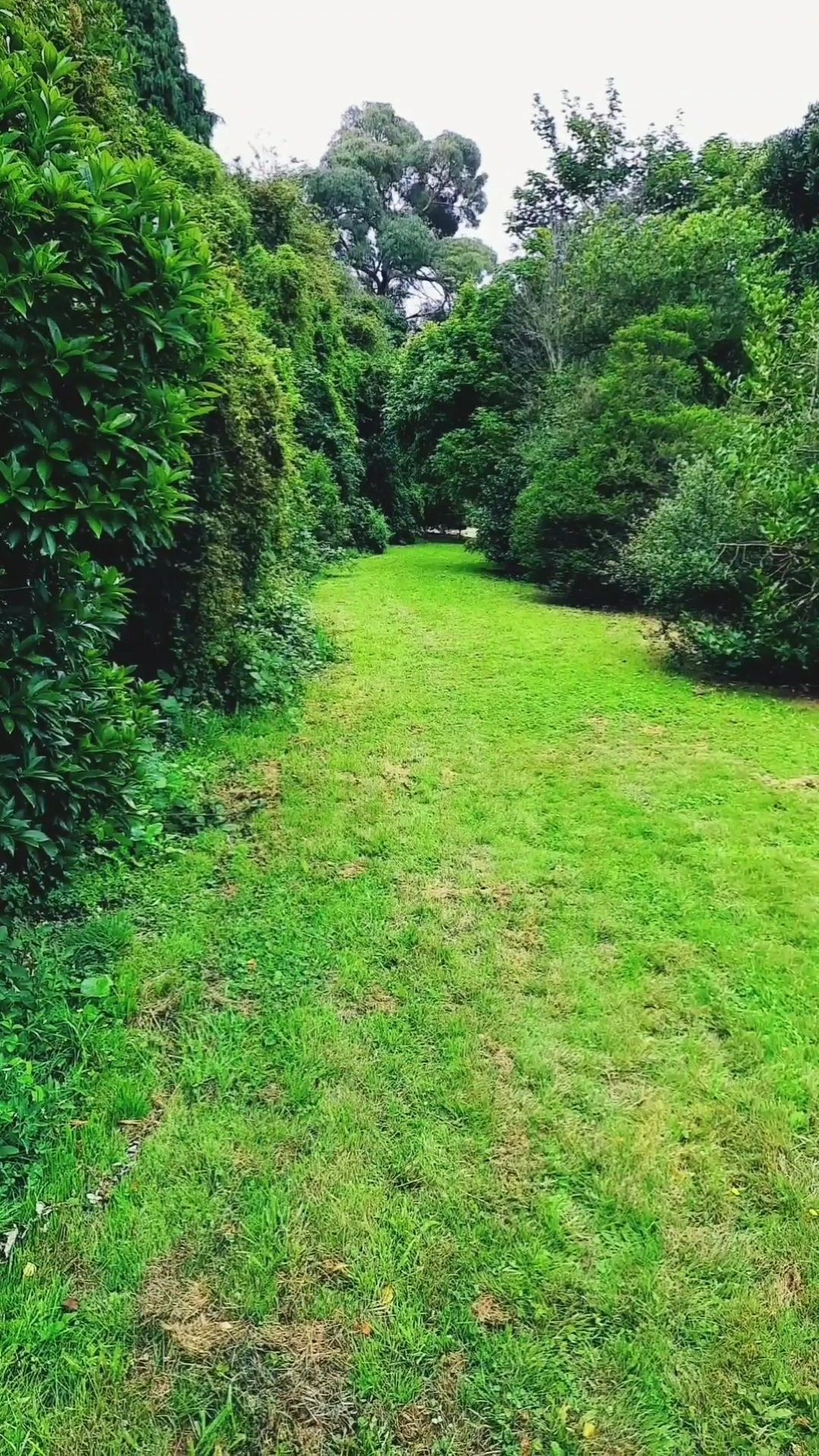 Hole 2 tee