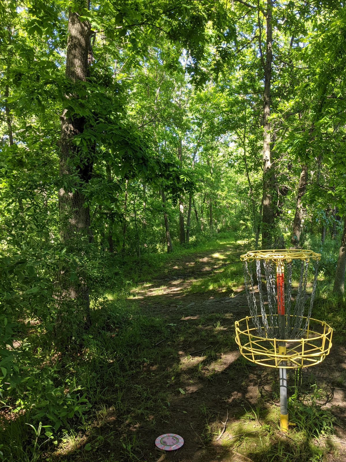 Basket 8 to fairway view