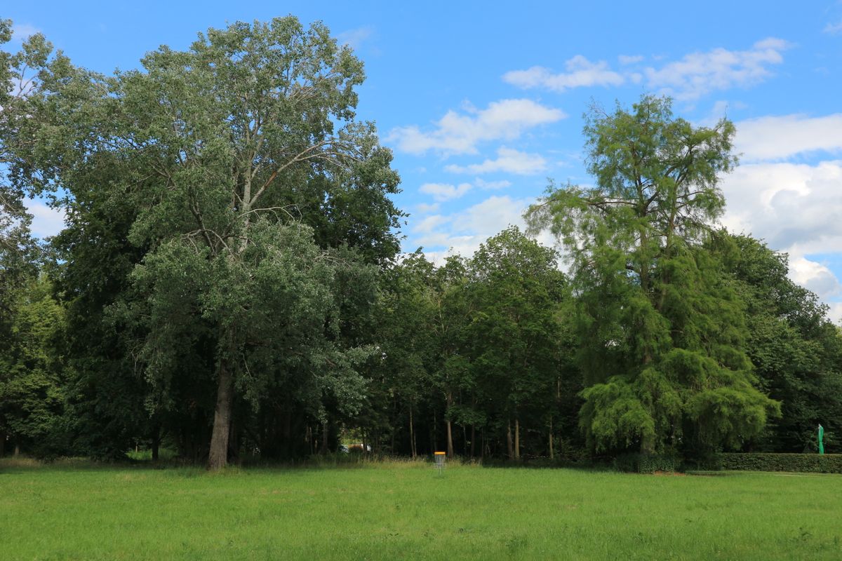 Basket from hole 13