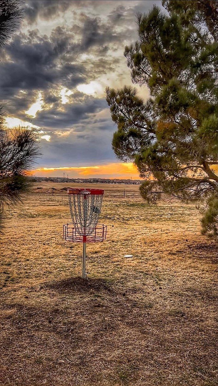 Photo cred - Matt Bohannon - P2 DGC