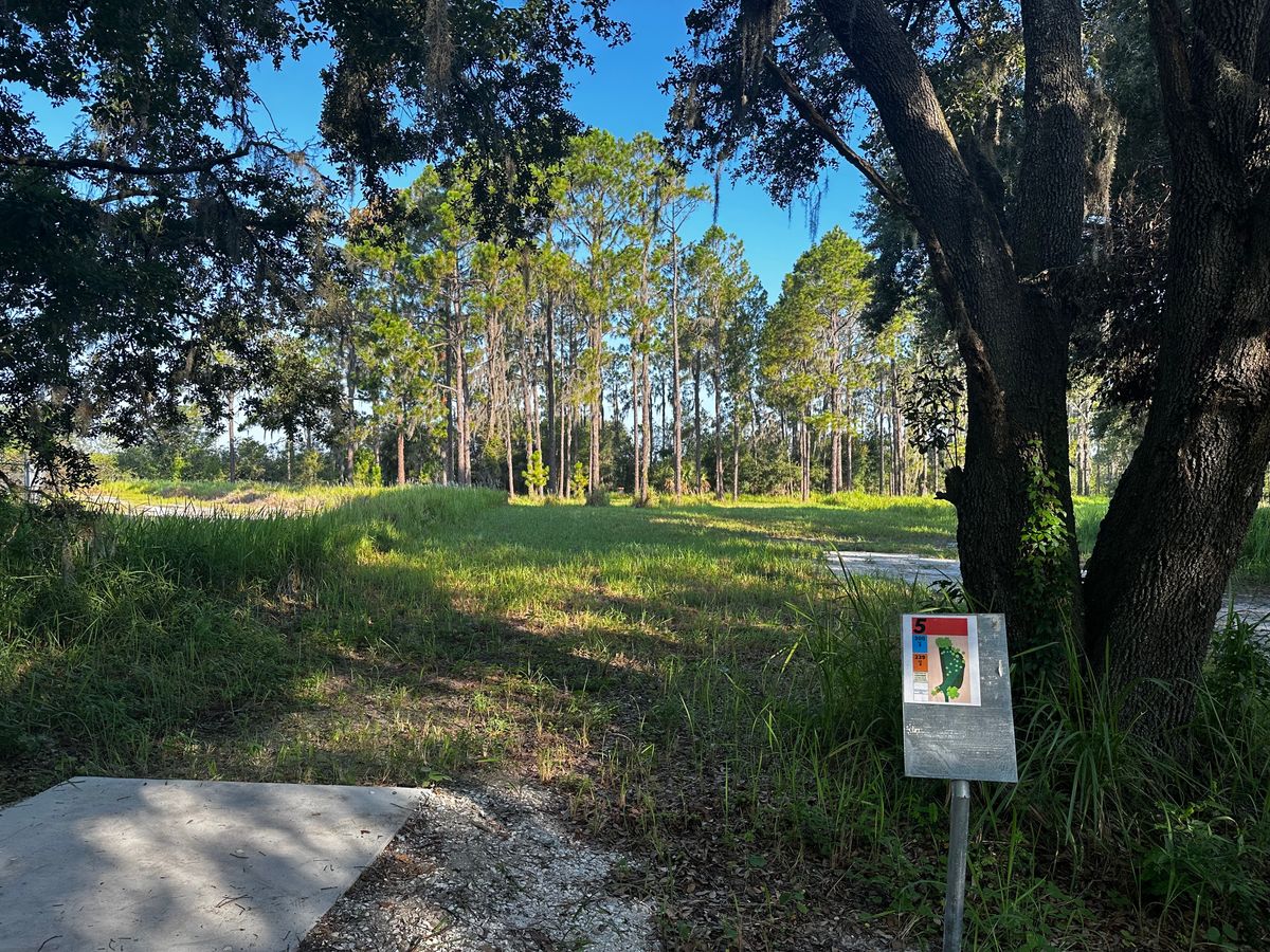 Short Tee Hole 5
