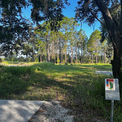 Short Tee Hole 5