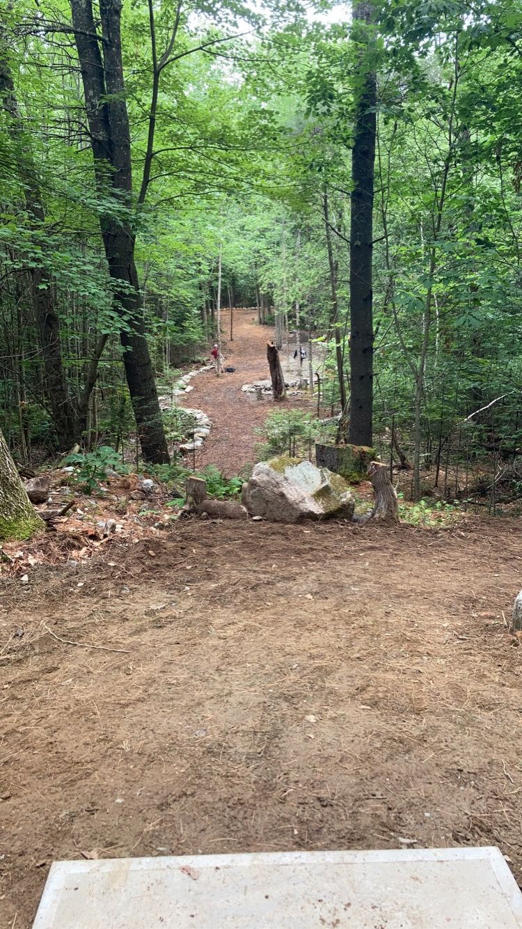 Hole 5!