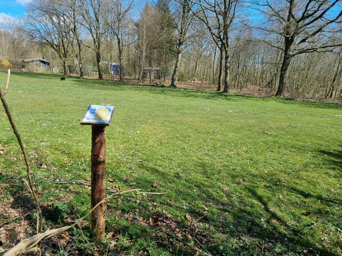 Hole 3 - Tee