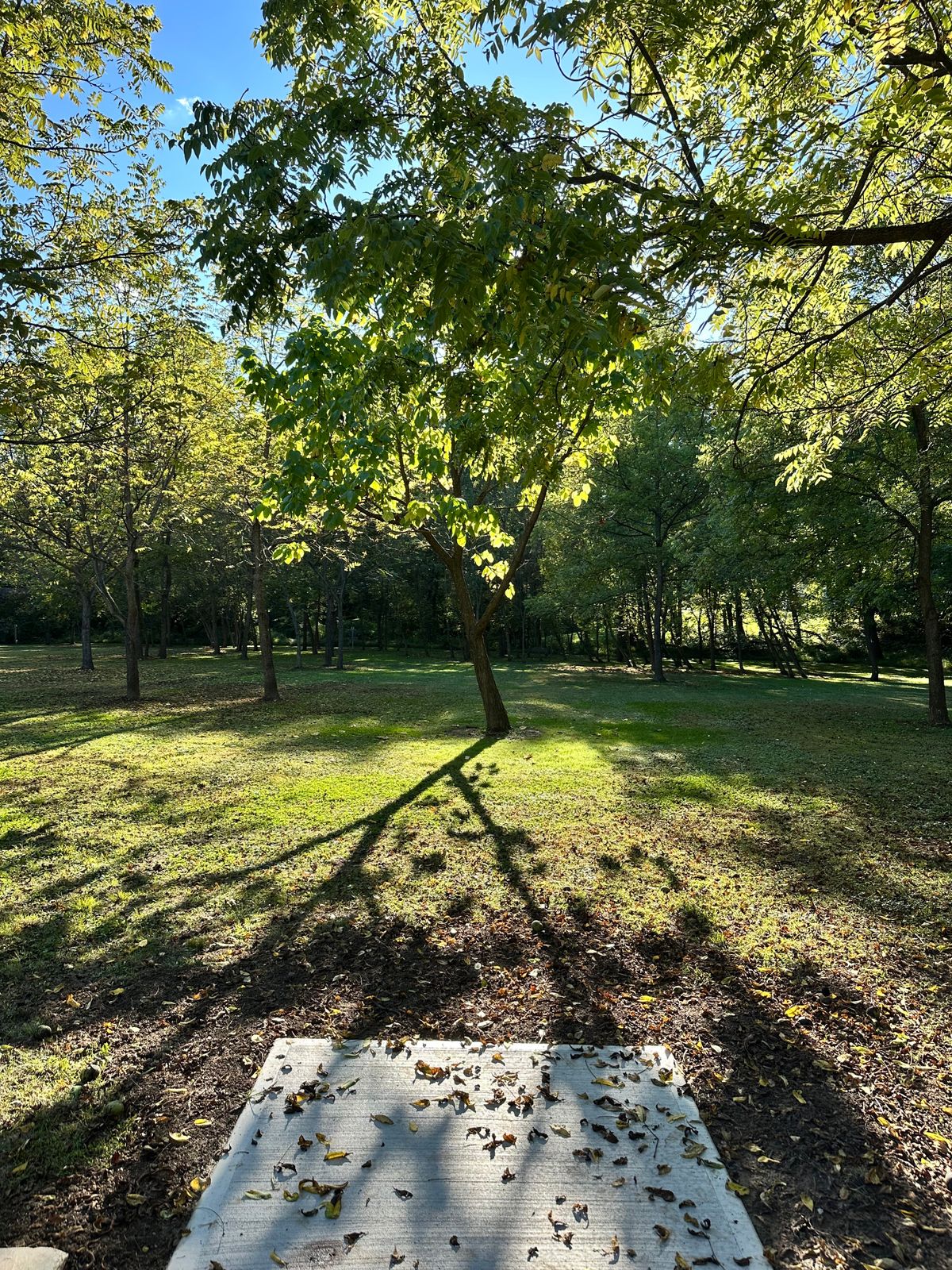 Hole #6 showing both lines.