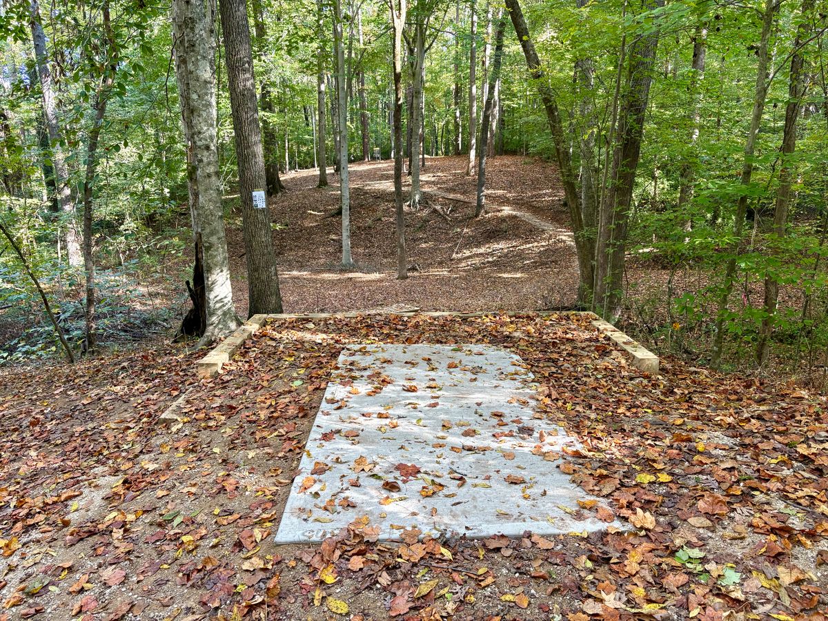Hole 10 tee