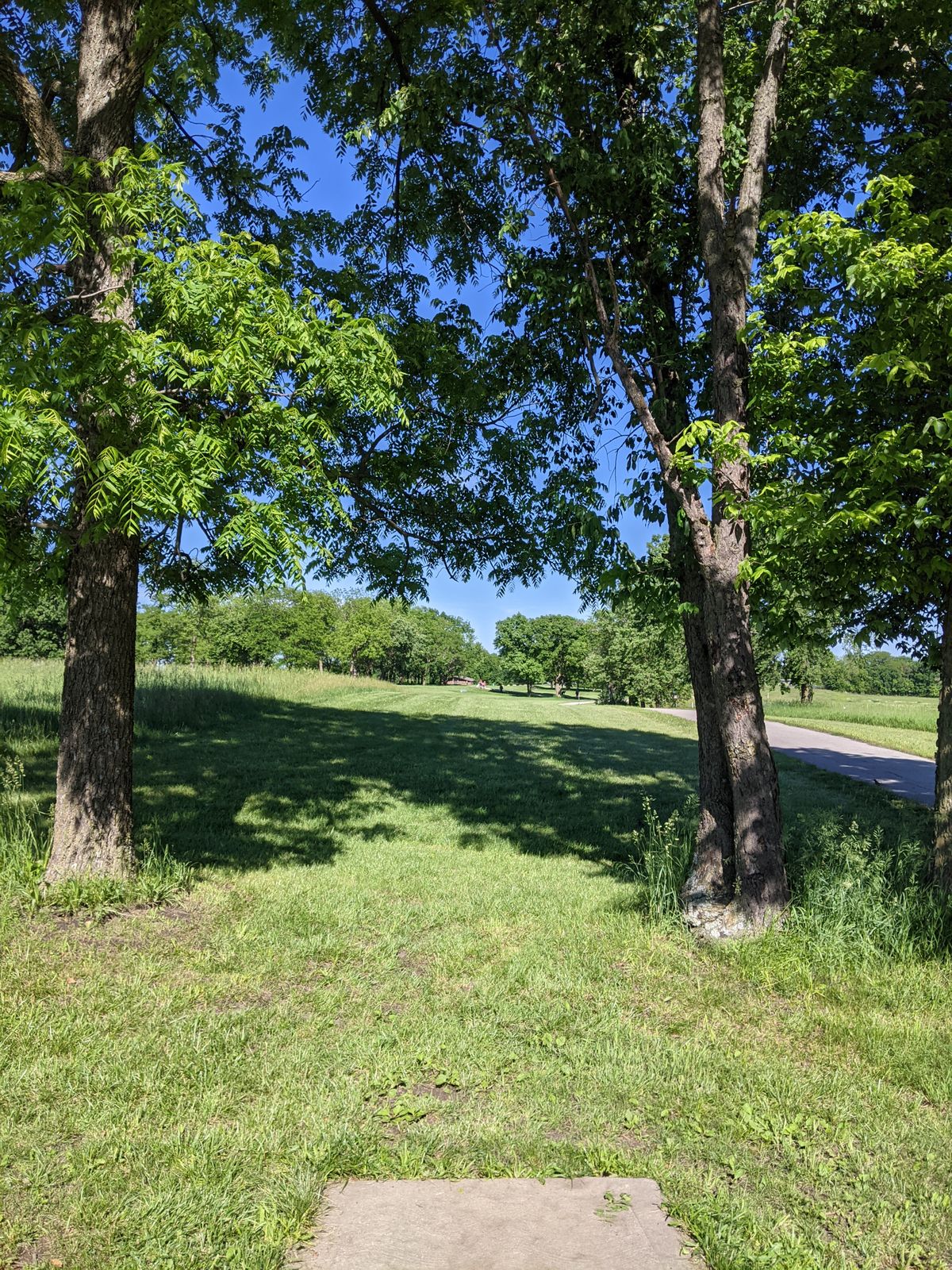 Tee 11